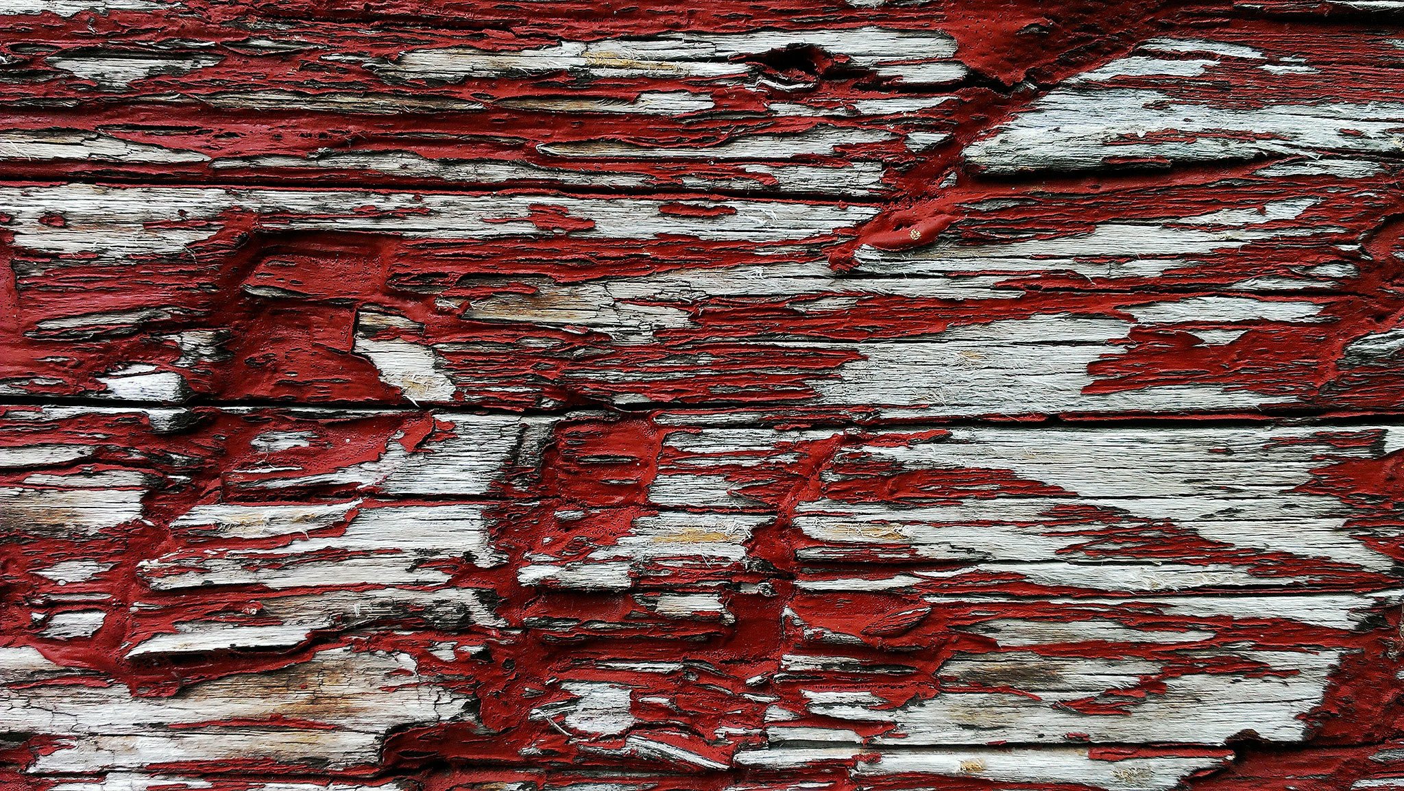 tree paint flowers red texture