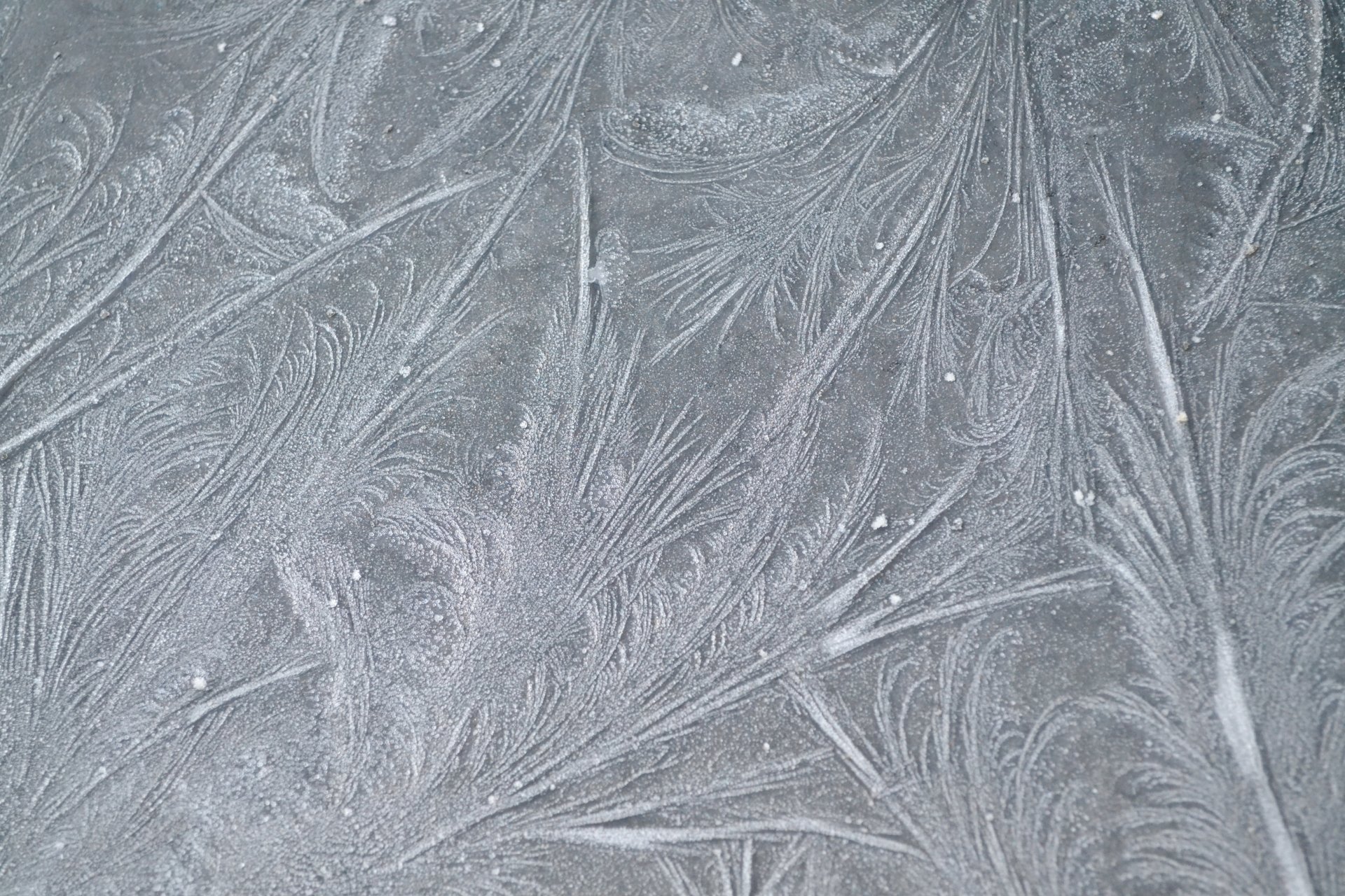 frost frost muster linien textur