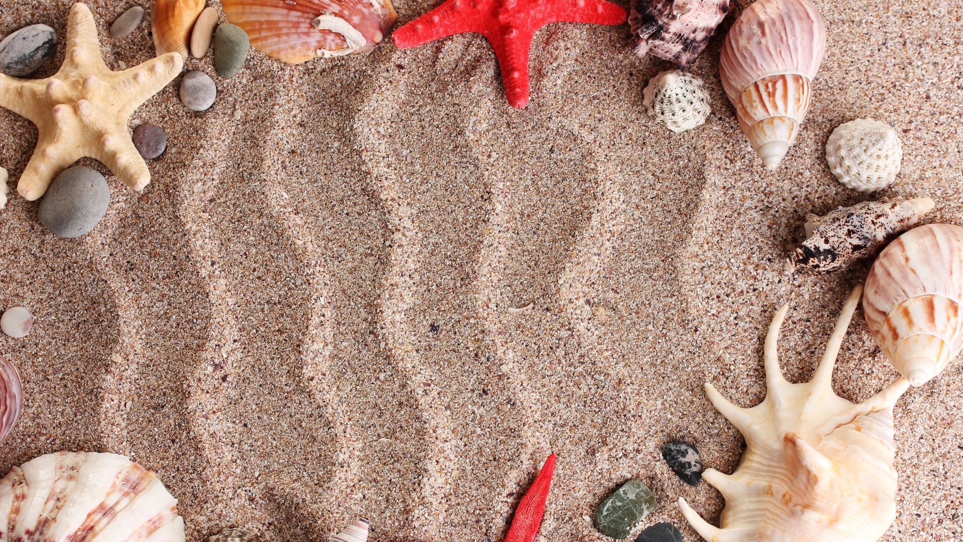 hells sand stones shells beach summer sea patterns stars marine