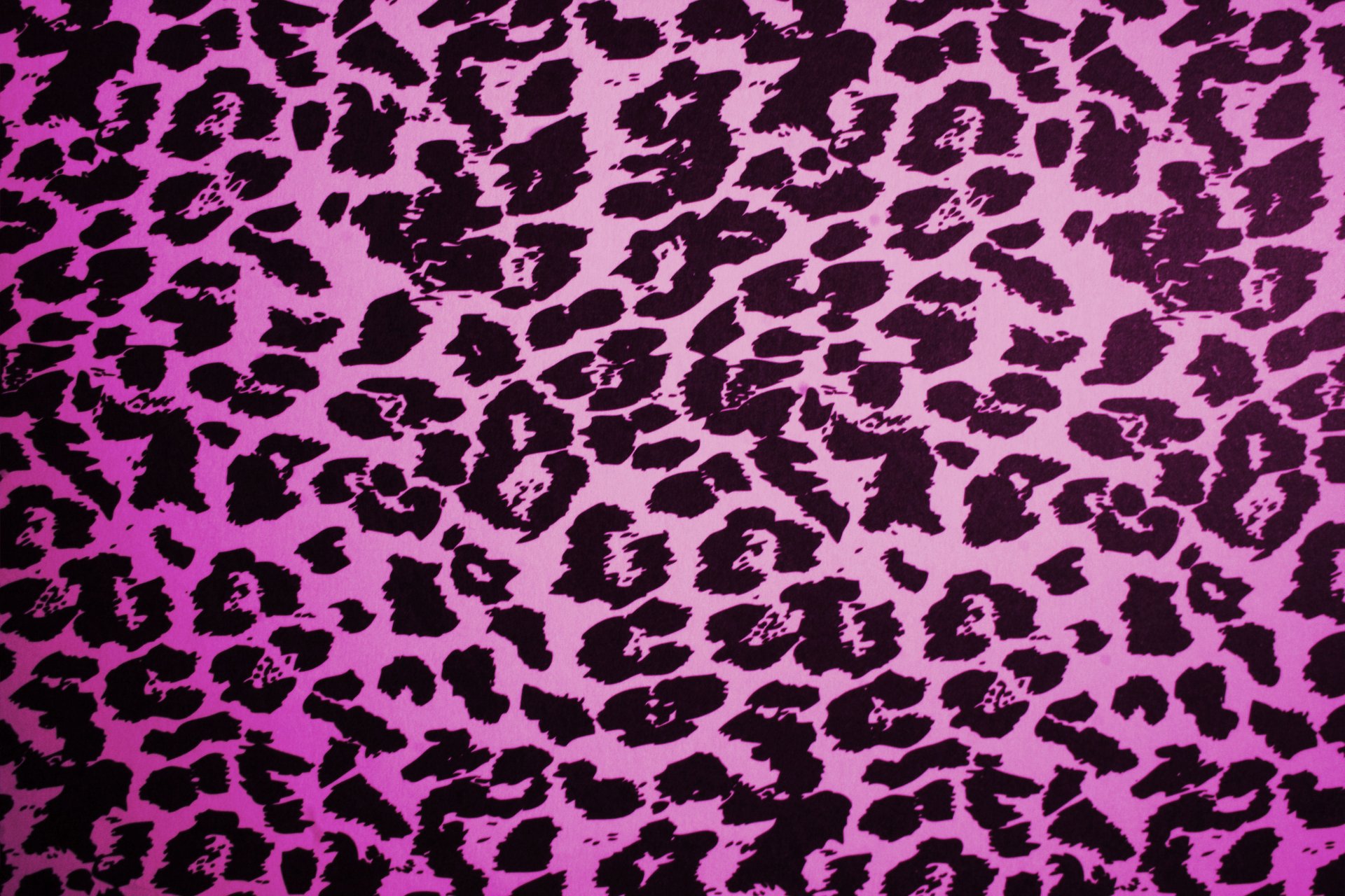 leopardo rosa textura