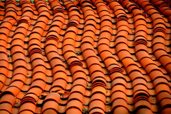 Wavy pattern of a tiled roof