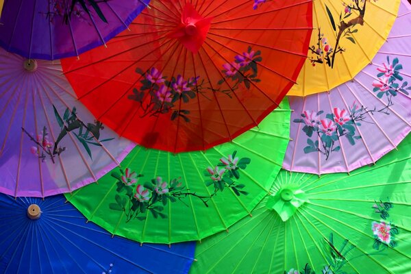 Schöne chinesische Regenschirme mit Blumen