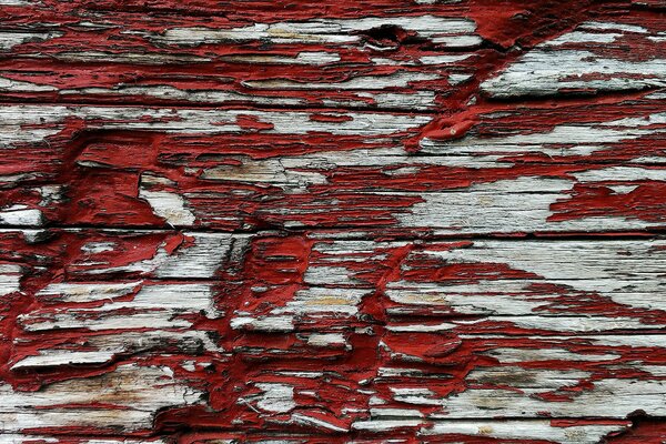 Texture d arbre peinte par peinture rouge