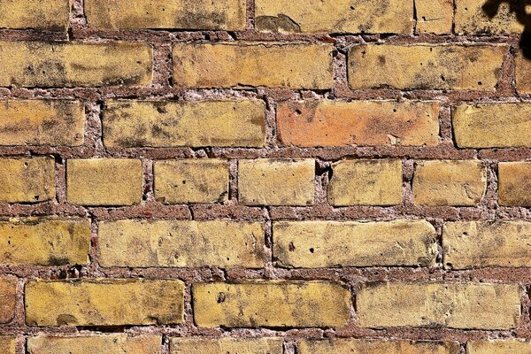 Mur de briques de couleur discrète