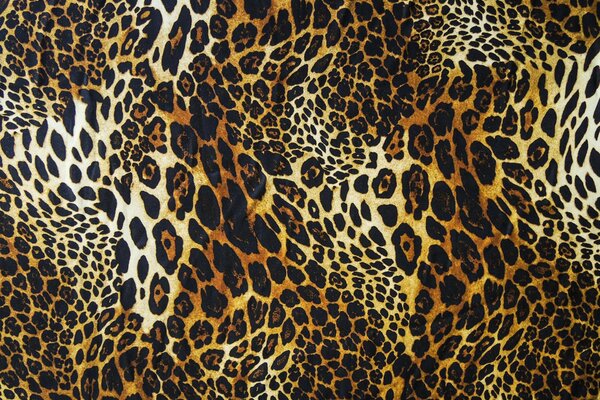 Leopard skin and wool texture