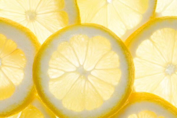 Lemon slices on a transparent background