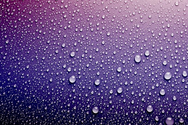 Gouttes d eau sur fond violet