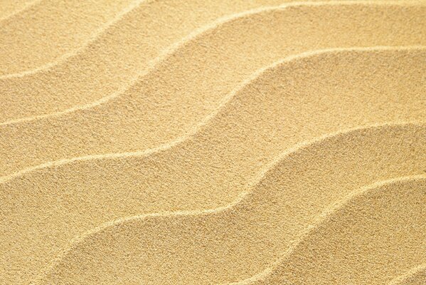 Sand grains in the form of waves