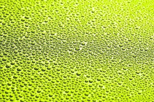 Goccioline d acqua su sfondo verde