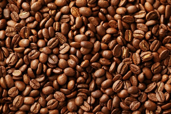 Background of roasted coffee beans