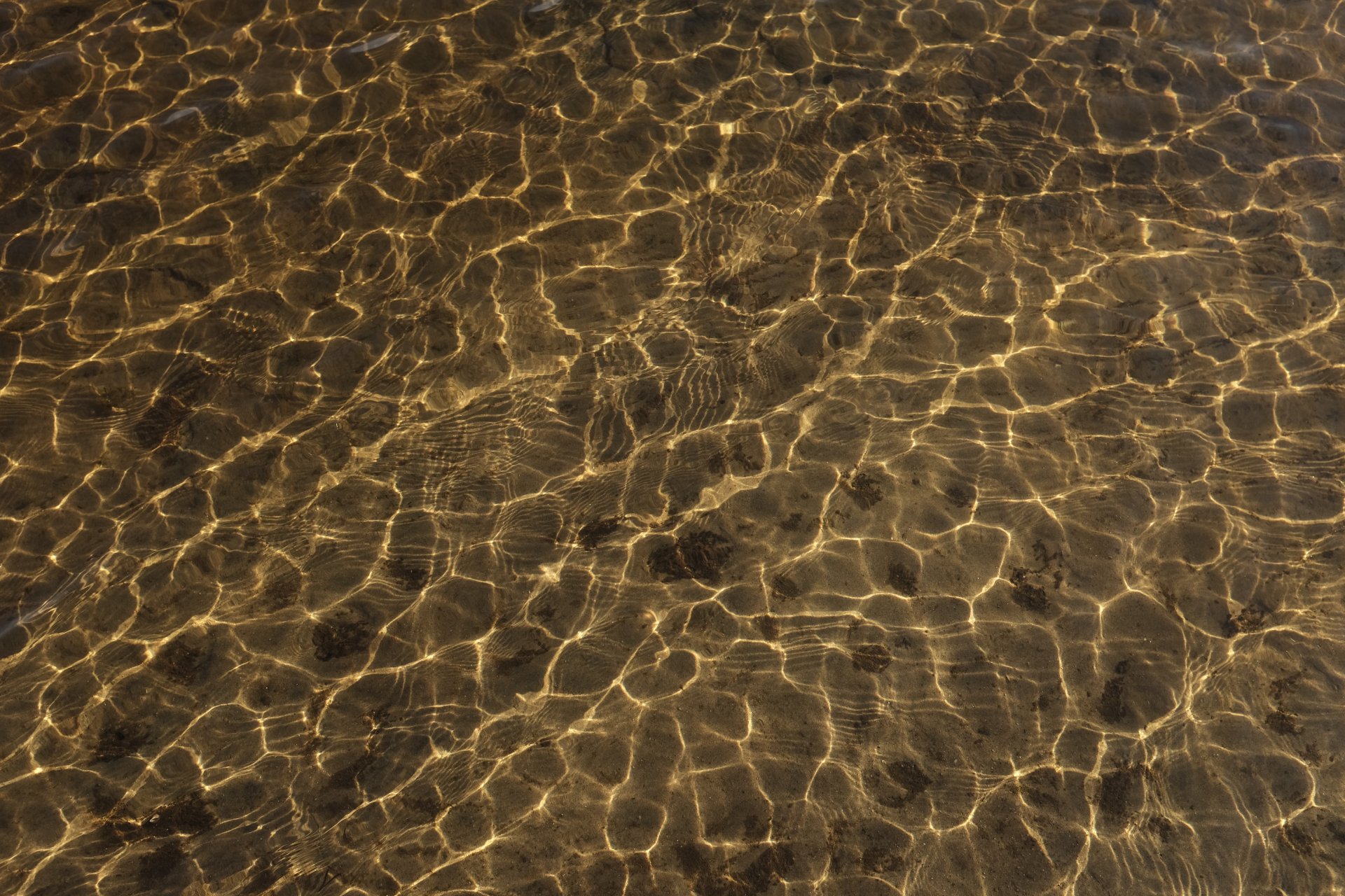 water ripple chiaroscuro brown