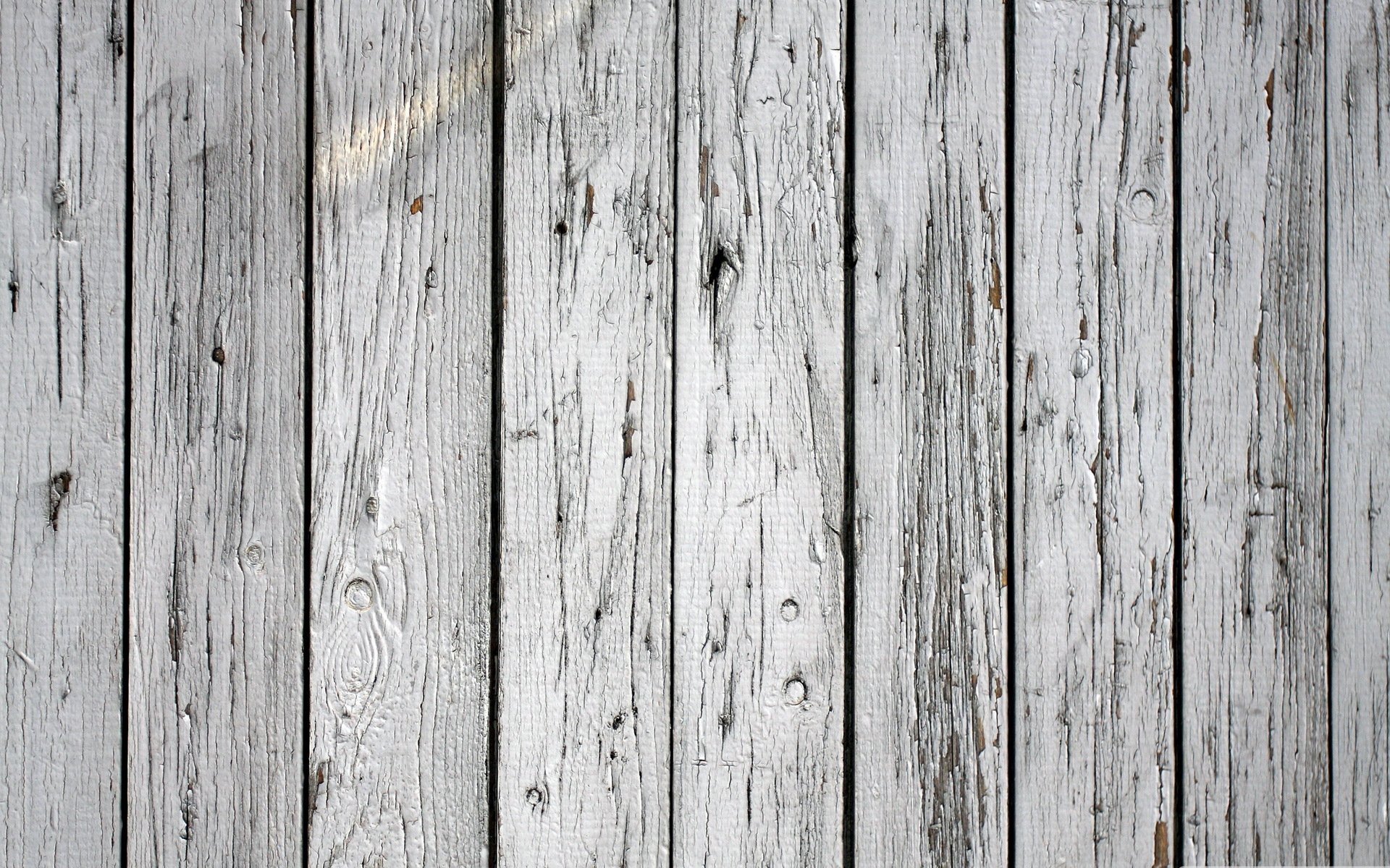 arbre mur modèle blanc blanc peint