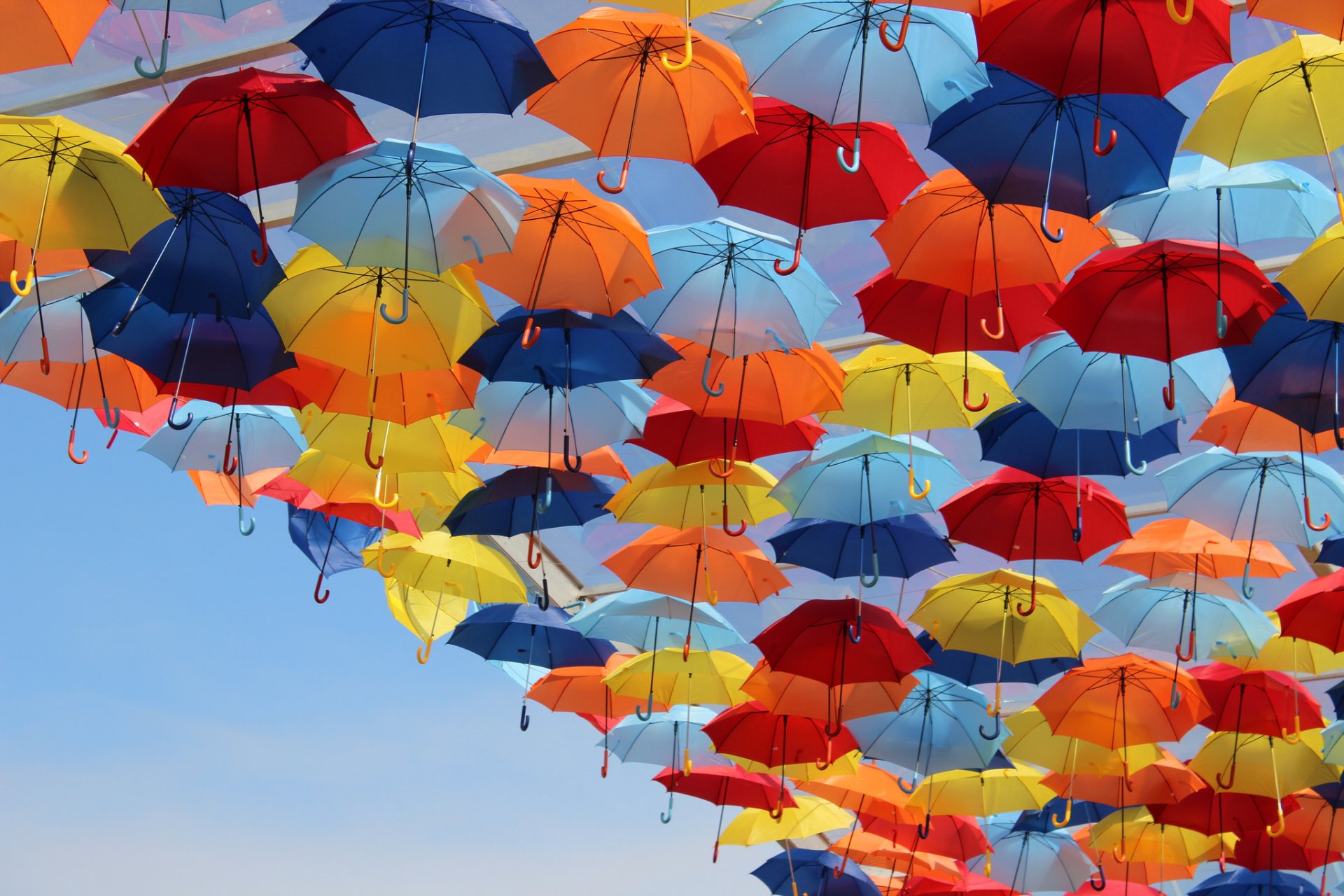 ky umbrellas colored bright