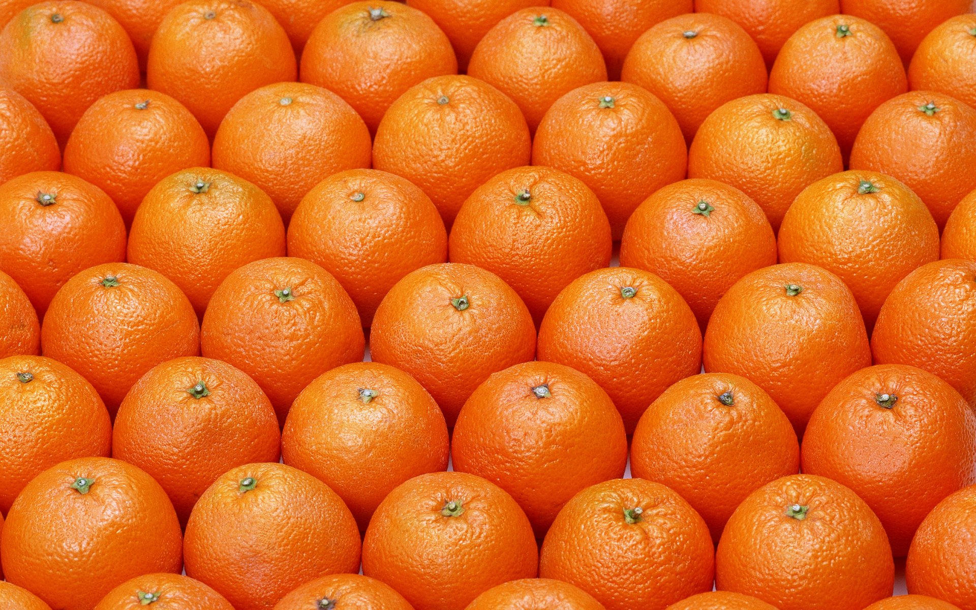 oranges fruits ordered pattern