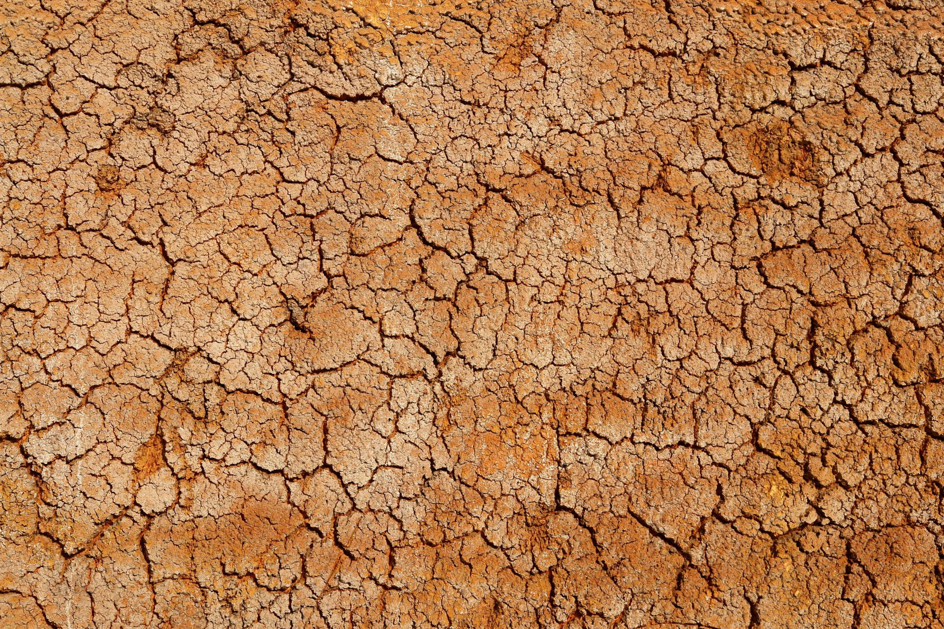 deserto struttura crepa crosta argilla