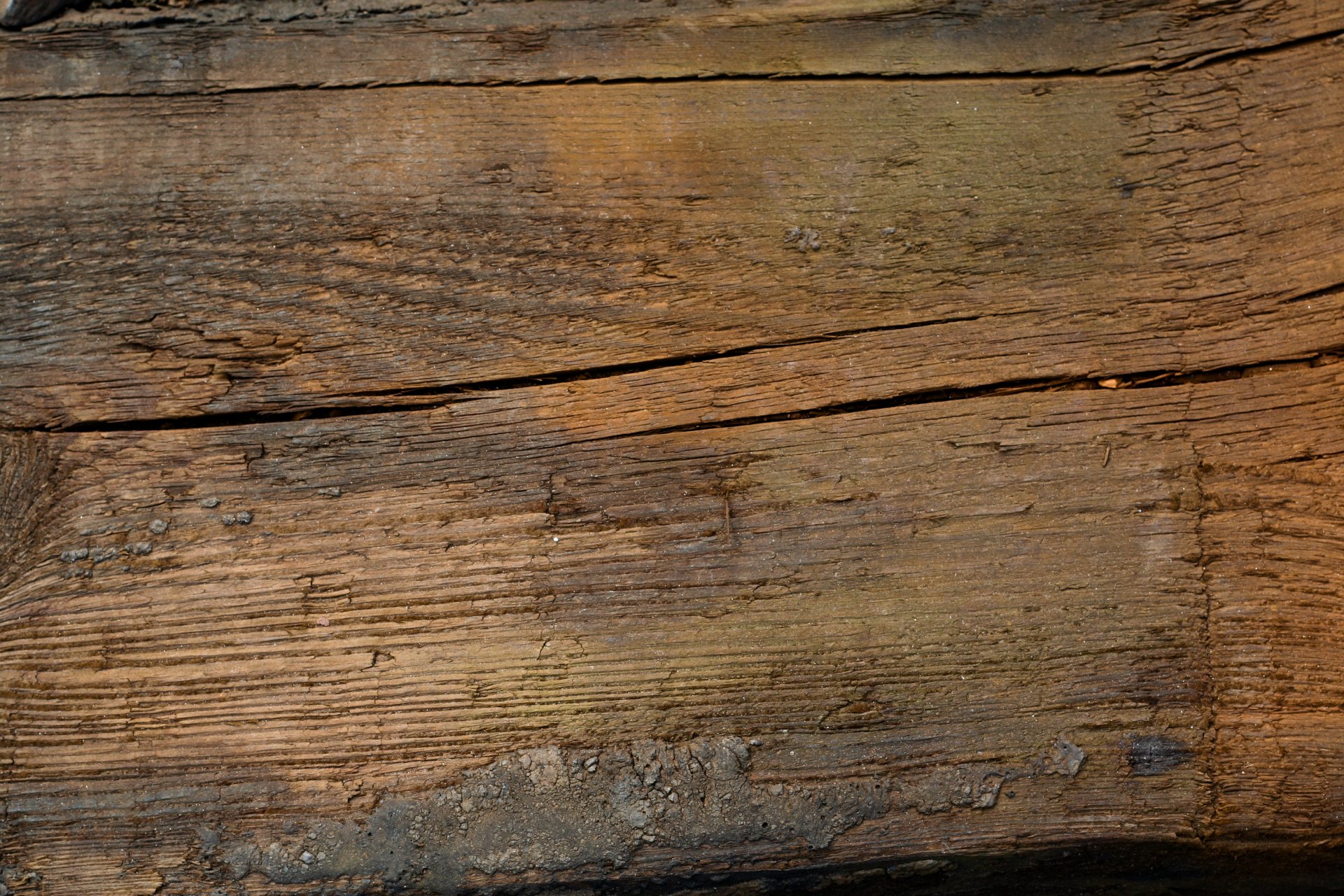 pattern wood brown close up