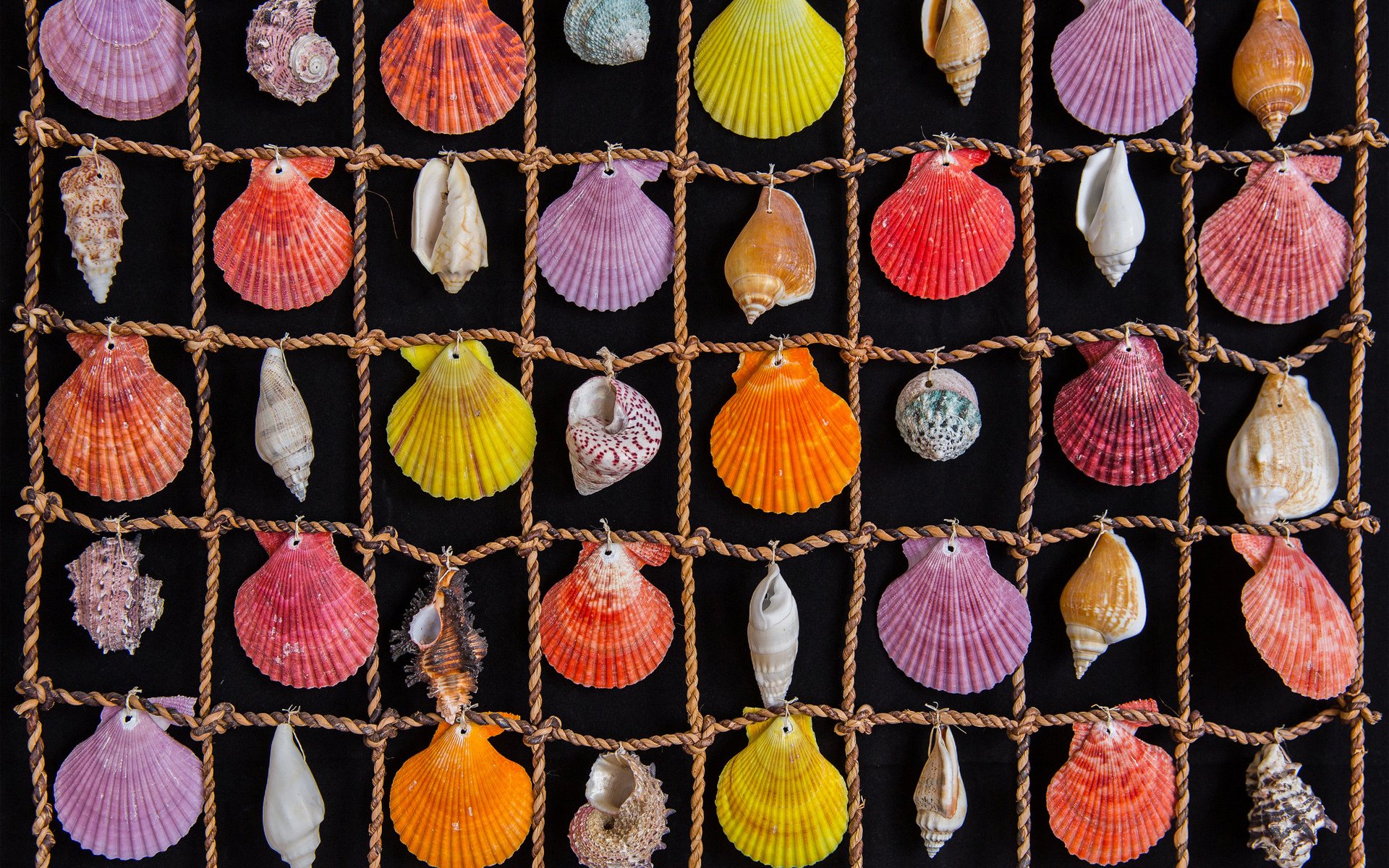 conchiglie mare colorato gabbia corda