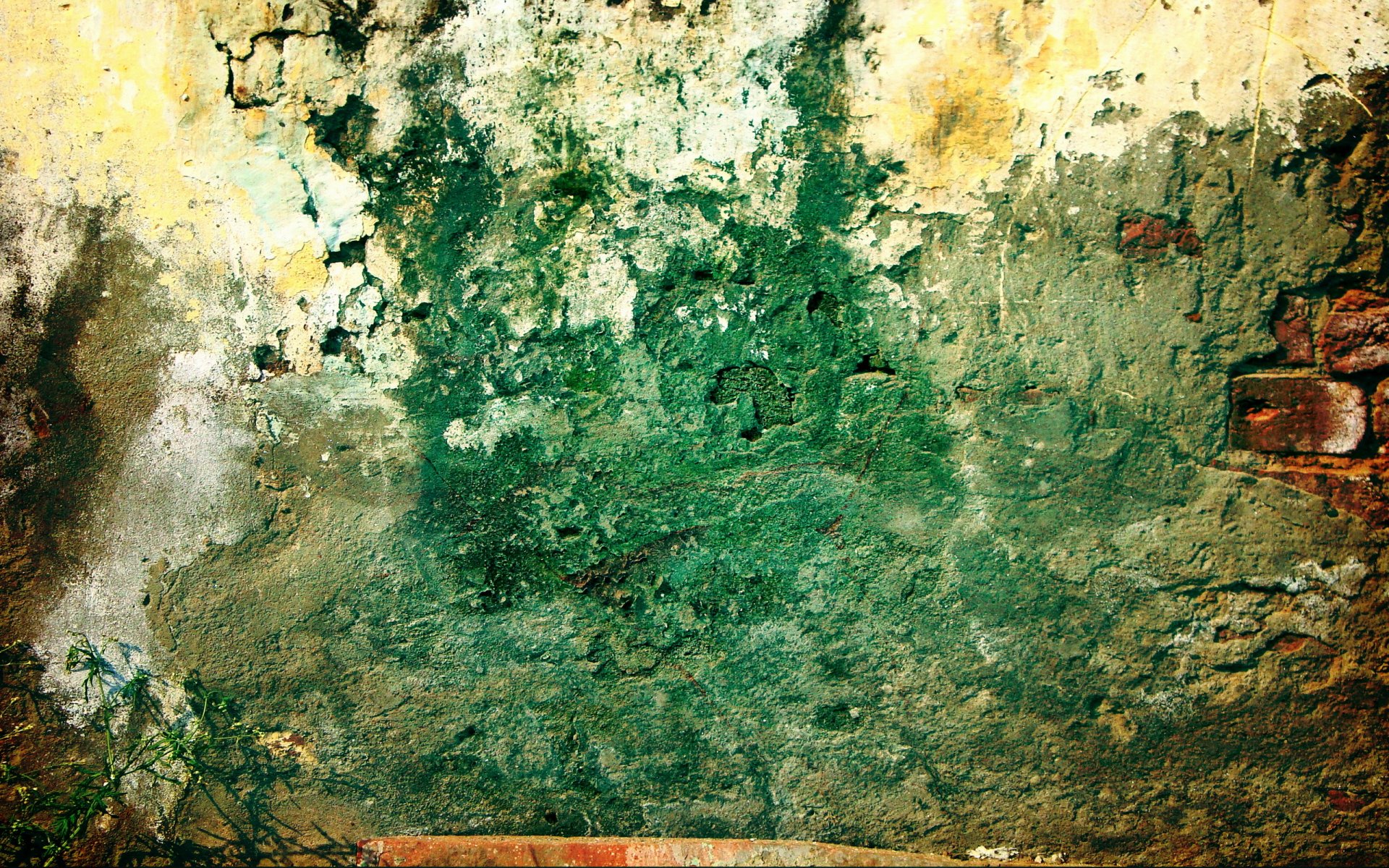 wall brick green dirty plant grunge pattern