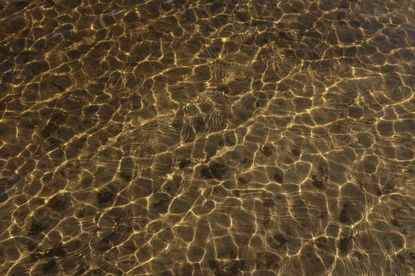 Ripples on the brown water