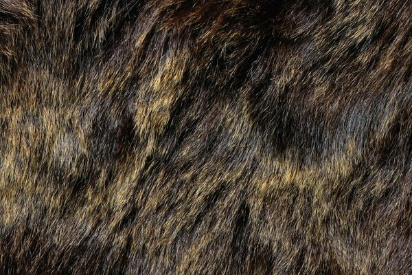 Animal fur background