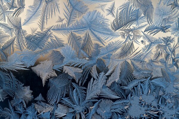 Frost bedeckte das Glas mit einem Muster