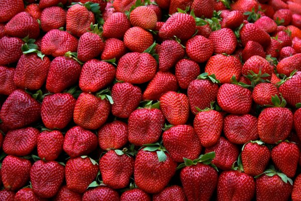 Rote Erdbeeren mit grünen Blättern