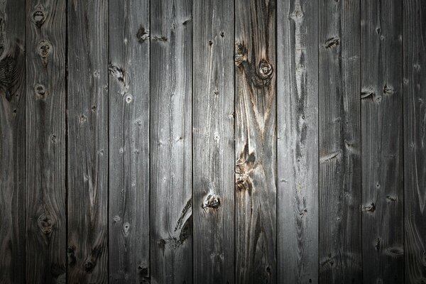 Bois. Mur en bois. Gris