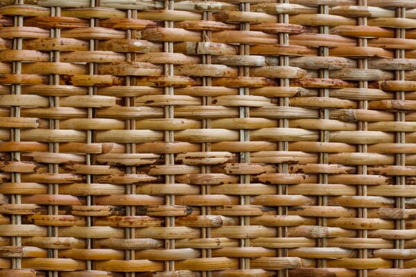 A basket for pies is an ideal model for Little Red Riding hood