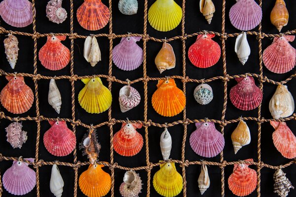 Colored seashells on a rope net