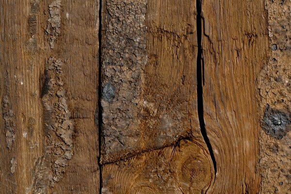 Modèle de bois de l intérieur, coupe lisse