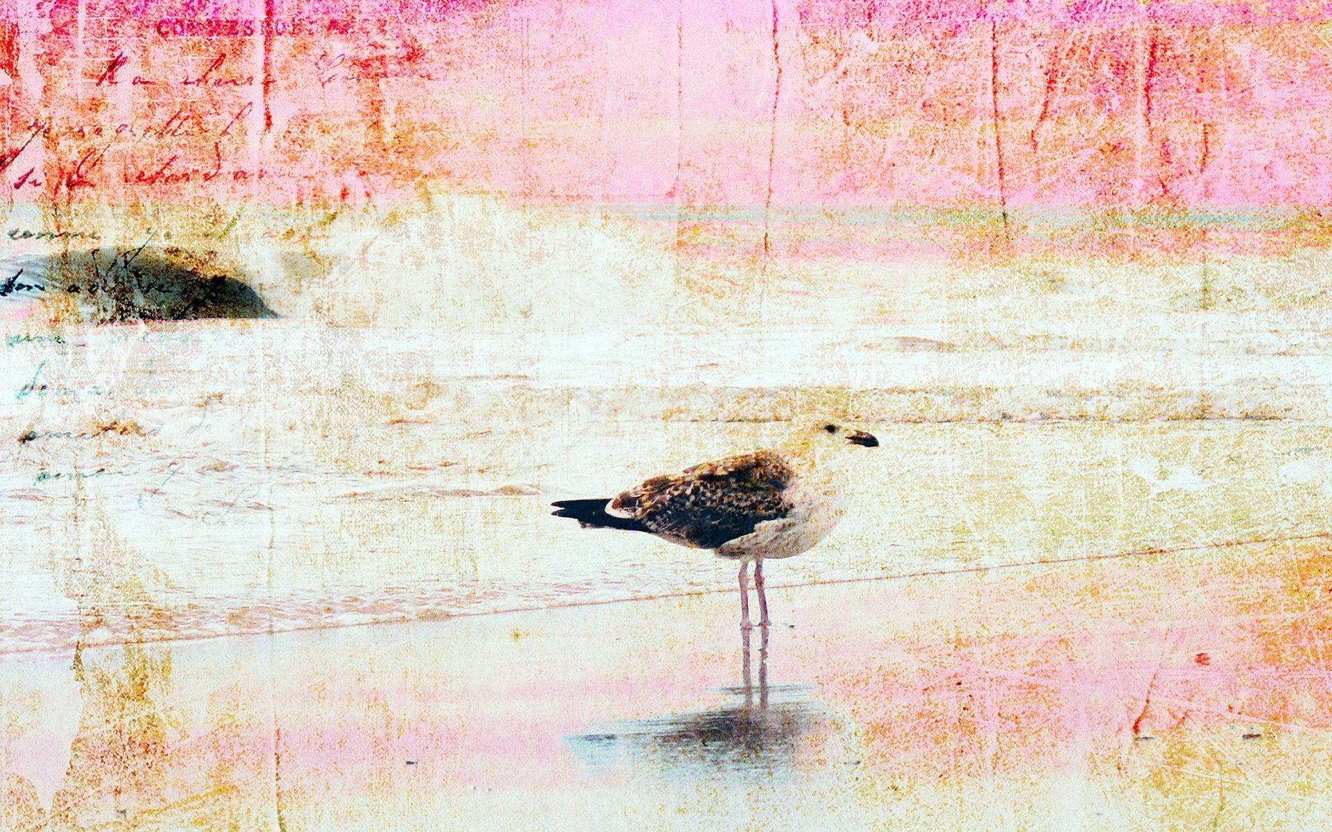 oiseau fond style texture