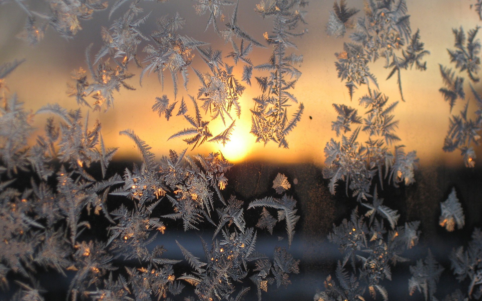 macro gelo tramonto vetro inverno freddo