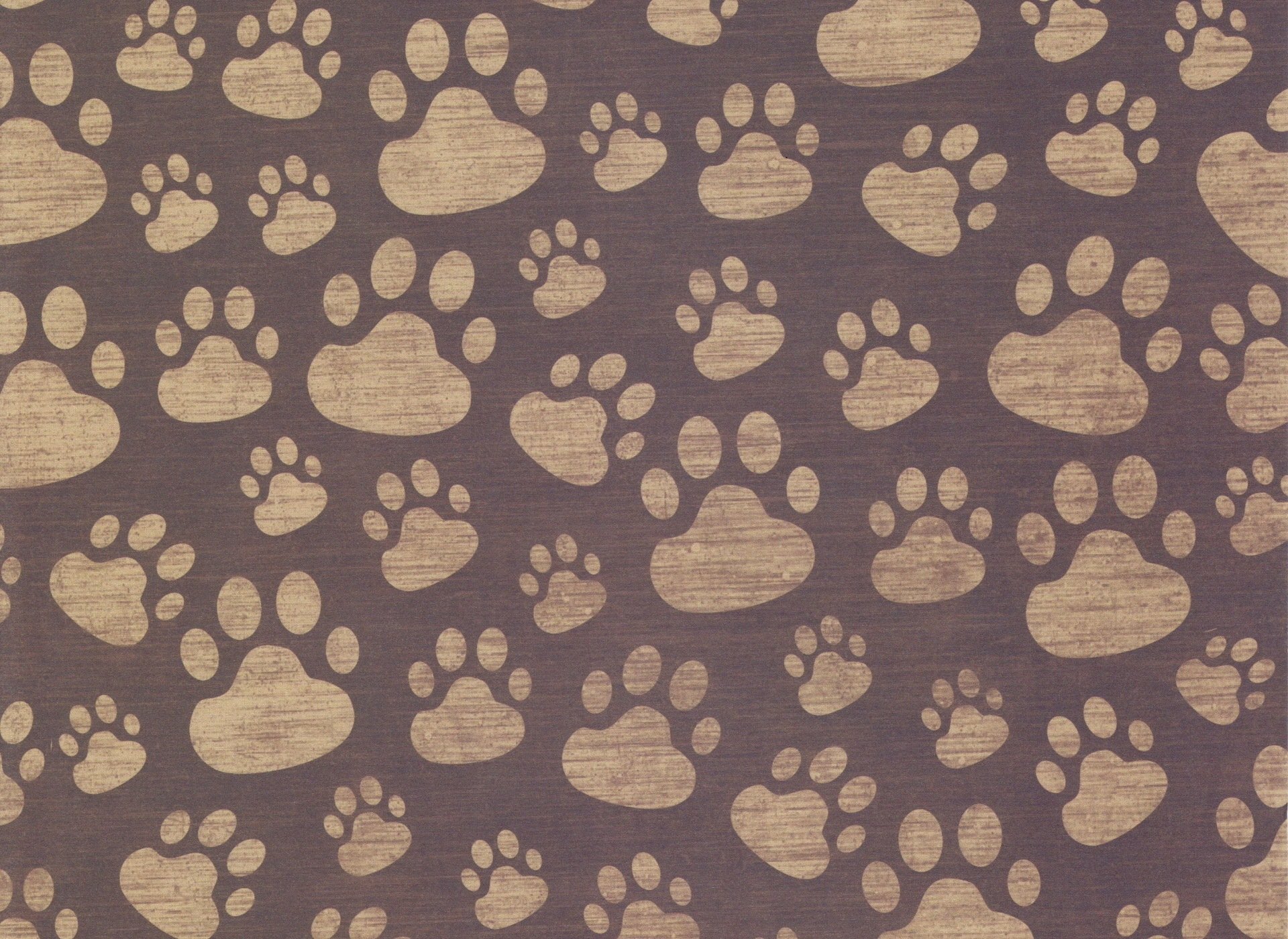 texture fond traces pattes