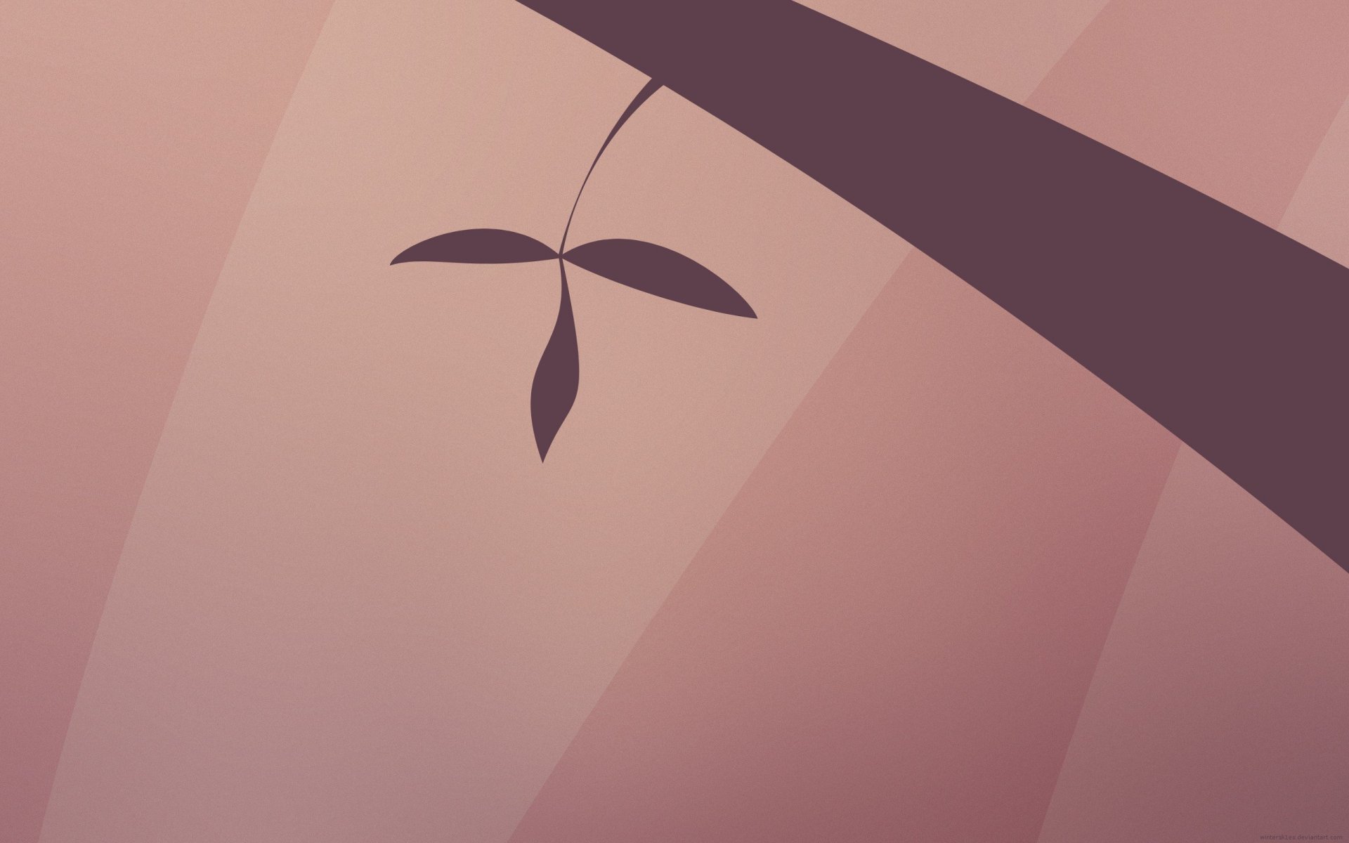 textures leaves leaf tree branch pink purple