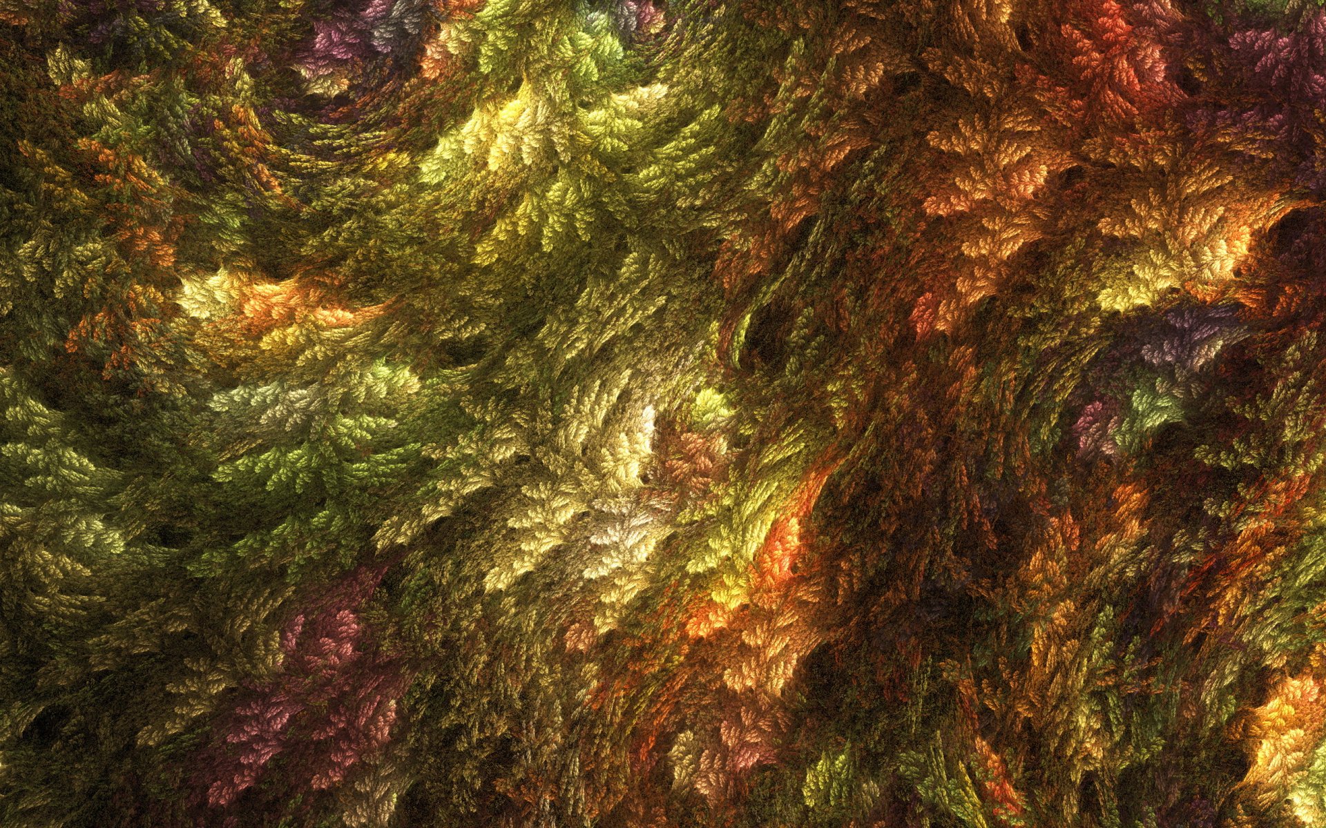 fractal raznotsvete summer