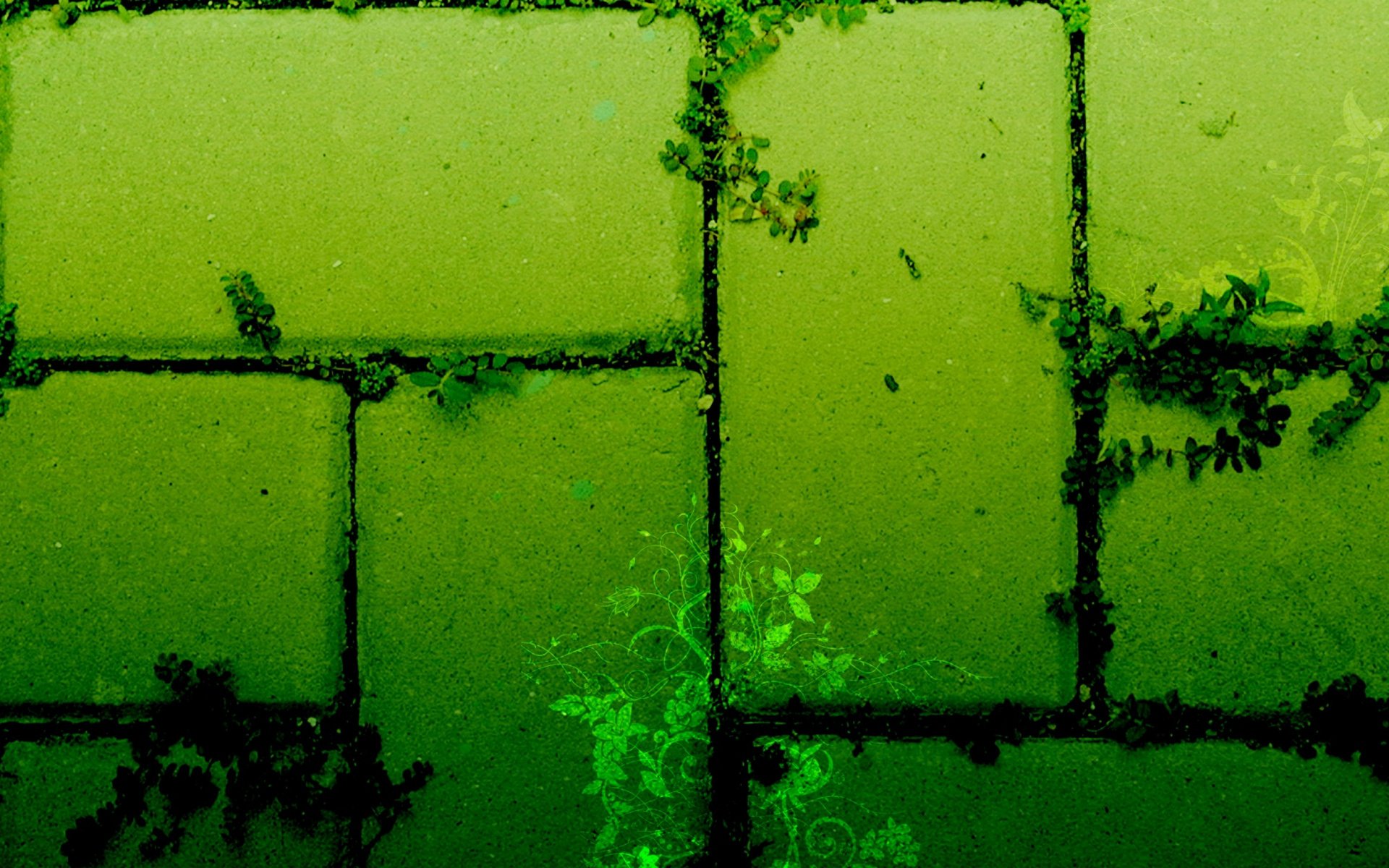textures green plant art