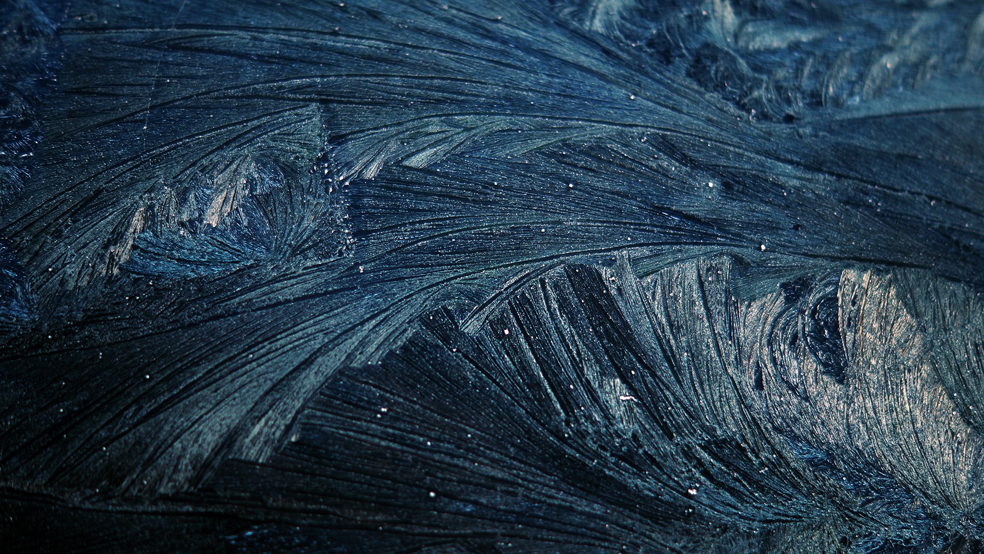 muster frost kälte zweige