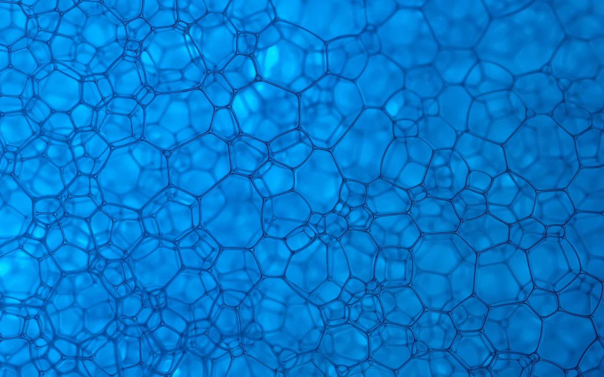 struttura blu cellule anelli
