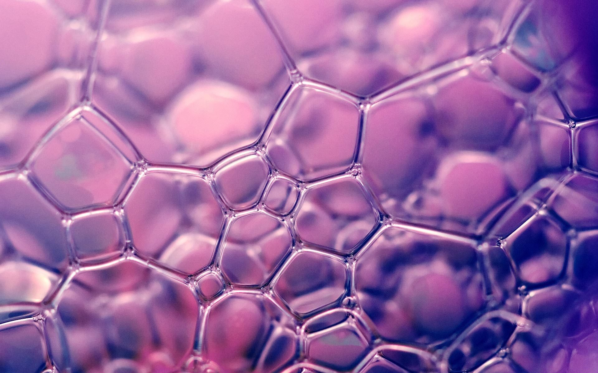 bolle di sapone viola carta da parati
