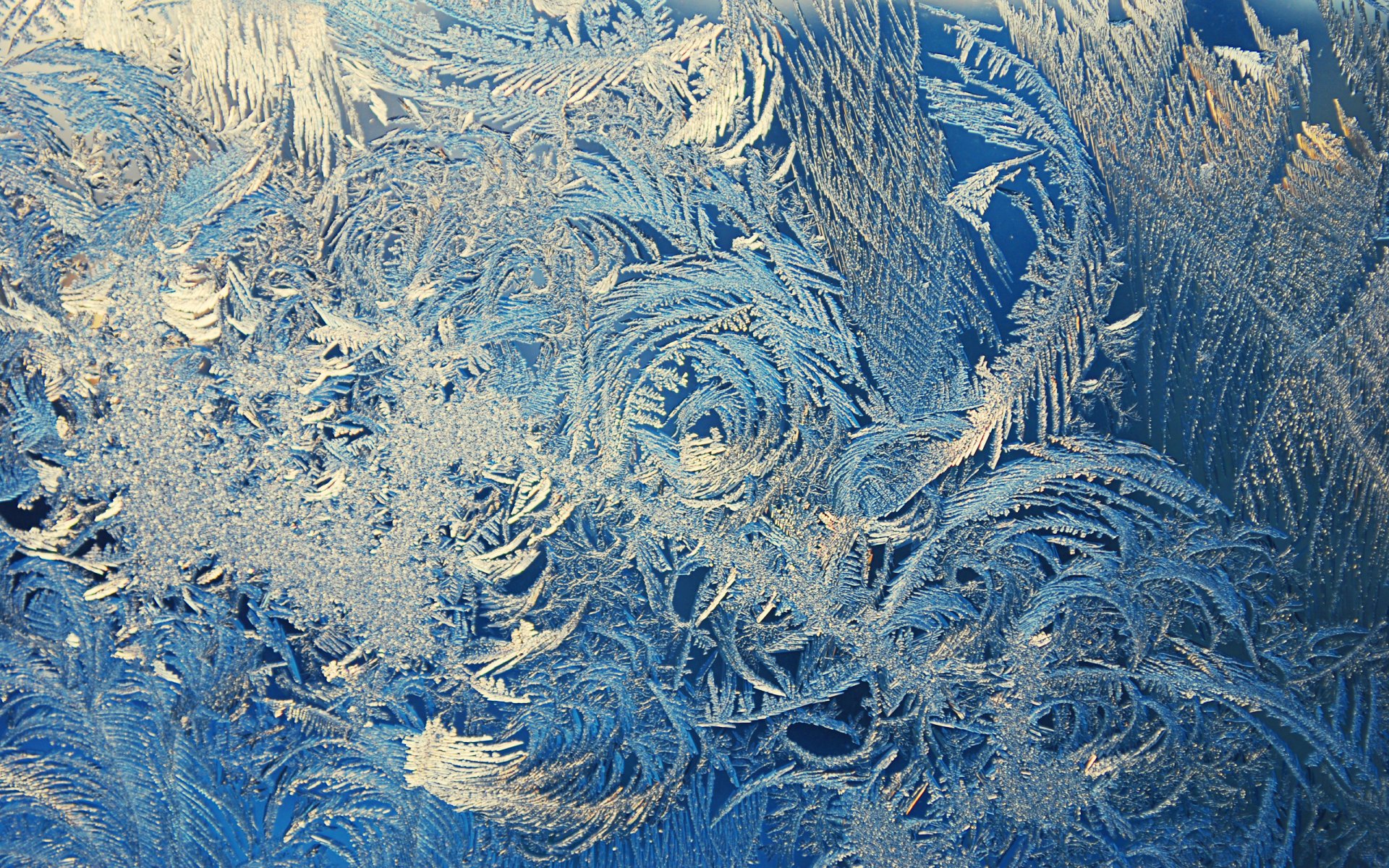 close up patterns frost winter window gla