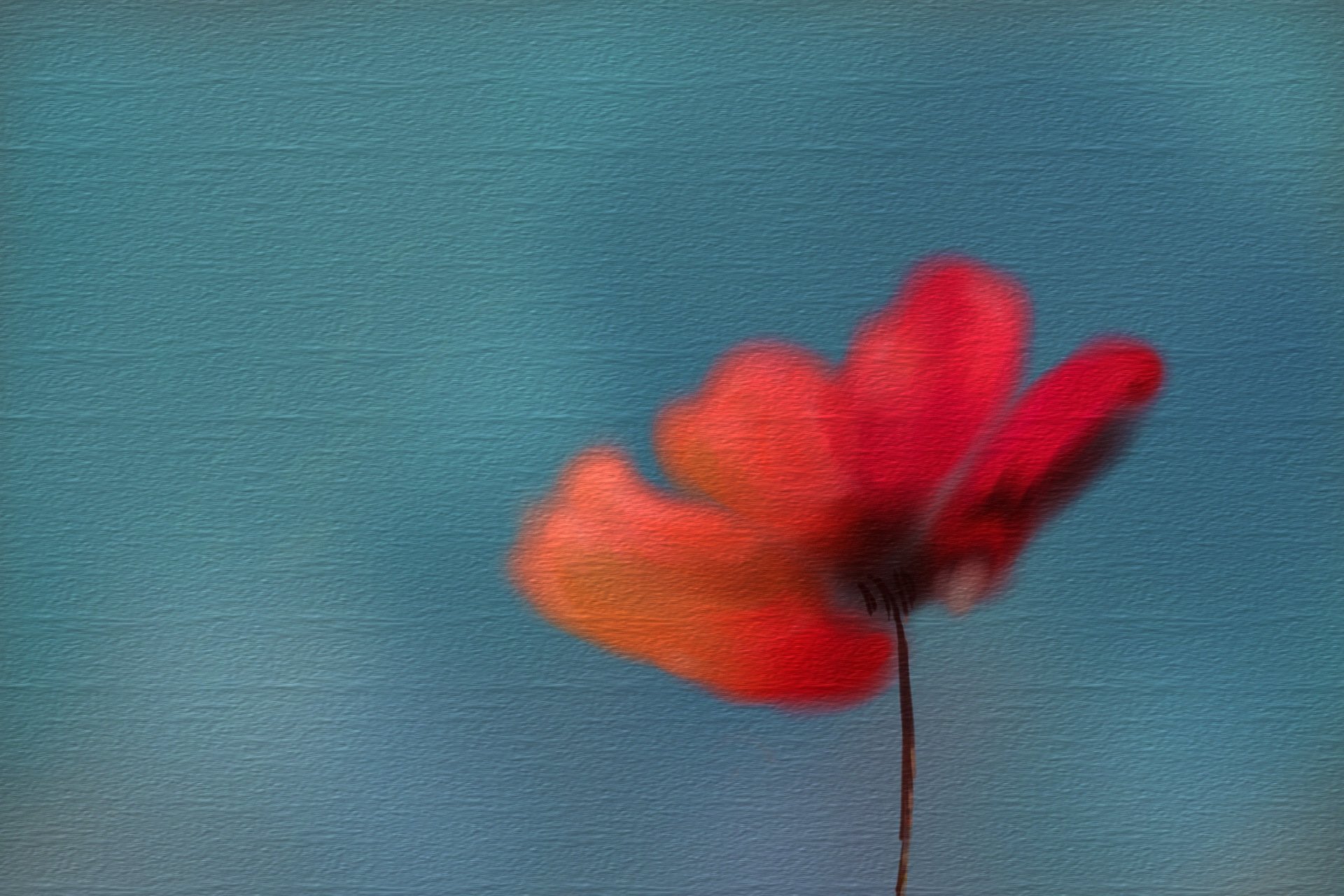 blume hintergrund textur