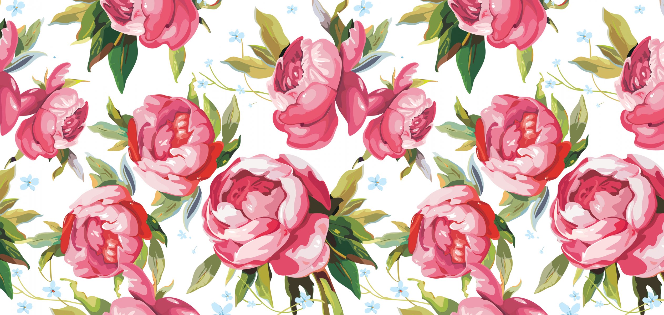 pivoines pétales bourgeons dessin art