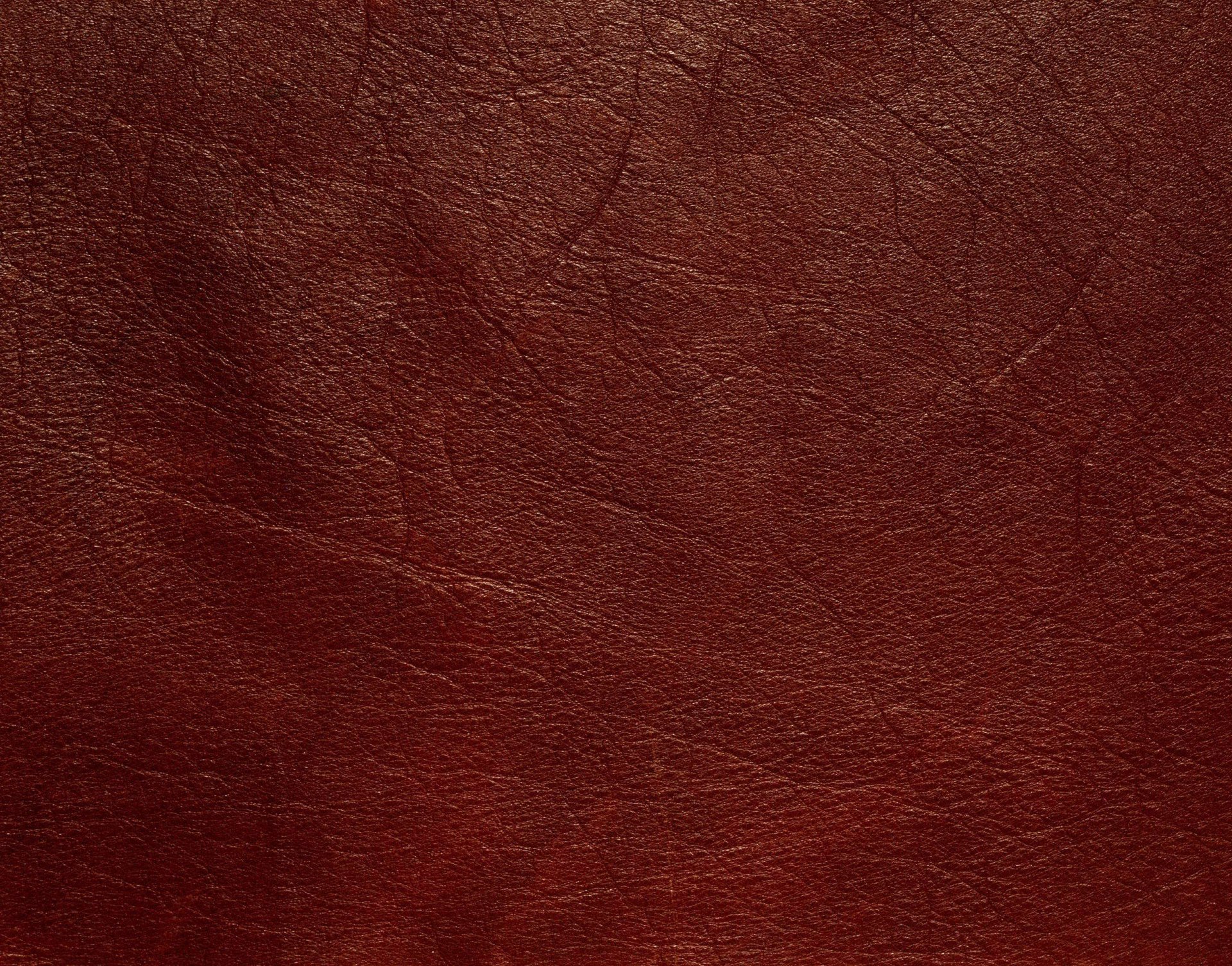 textura cuero rayas aderezo textura animal fondo de trabajo