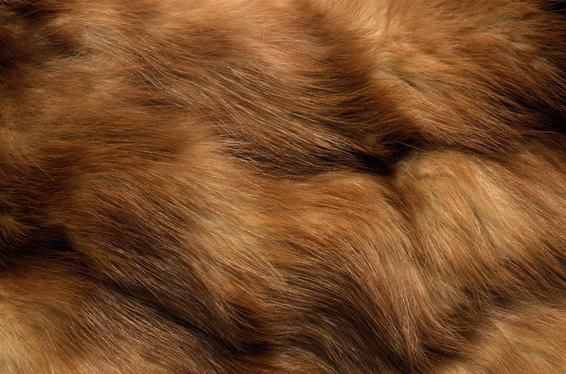 textur fell tier textur arbeitshintergrund
