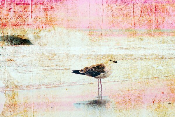 Imagen de un pájaro en el estilo de una foto envejecida