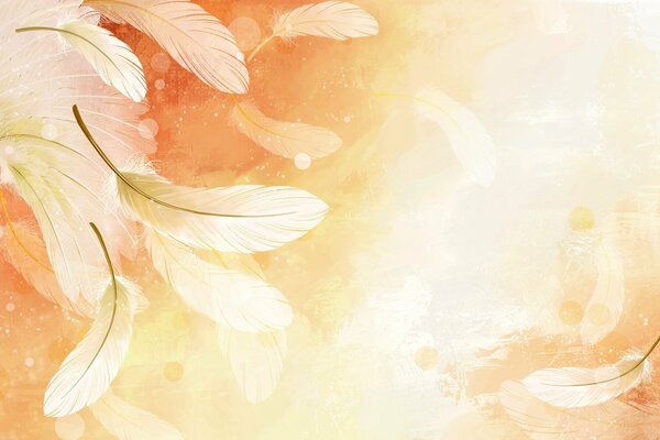 Feathers in flight, lightness airiness