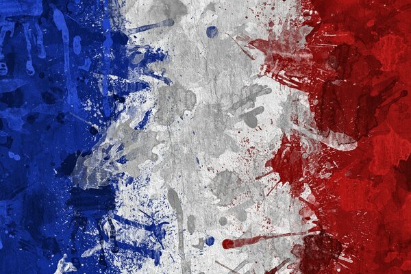 Bandiera della Francia dipinta con i palmi delle mani
