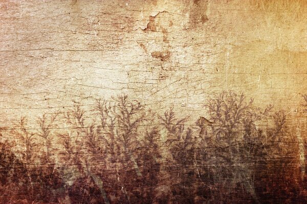 Disegno su albero piante foglie