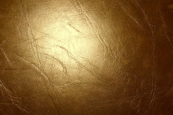 Skin texture golden shine