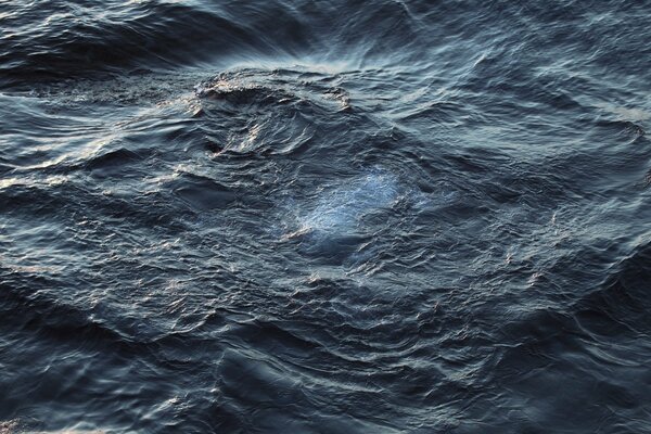 Ondulations bizarres sur la surface de l eau dans le lac